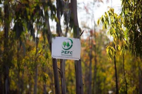 La madera, fue, es y será el material más sostenible de la construcción